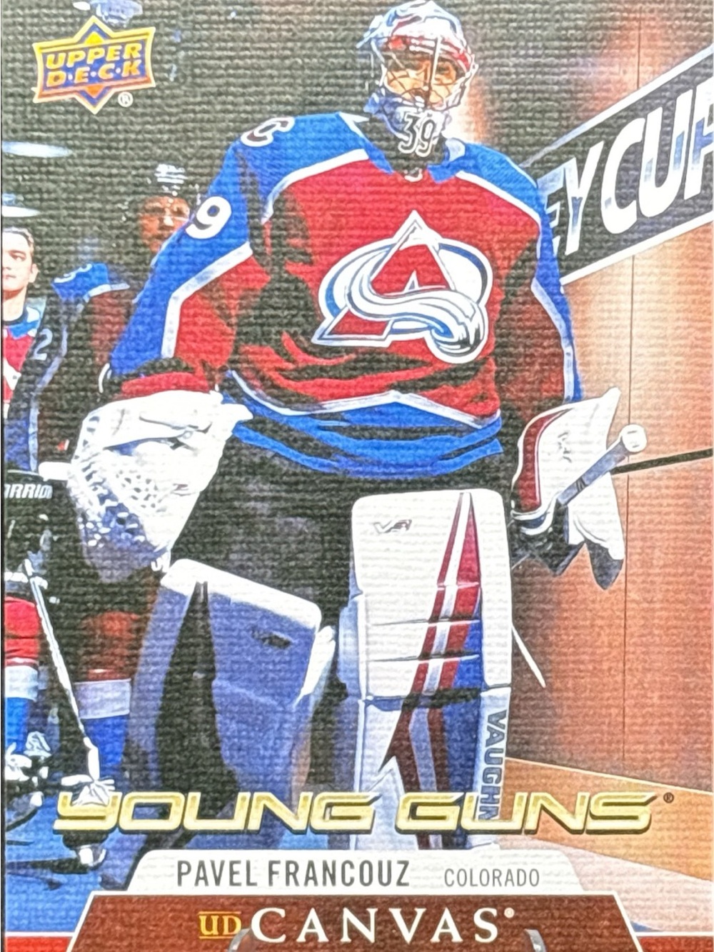 Upper Deck Young Guns Pavel Francouz Colorado Avalanche Canvas Hockey Card
